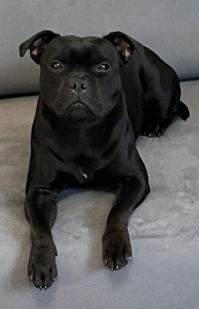 ROXY 